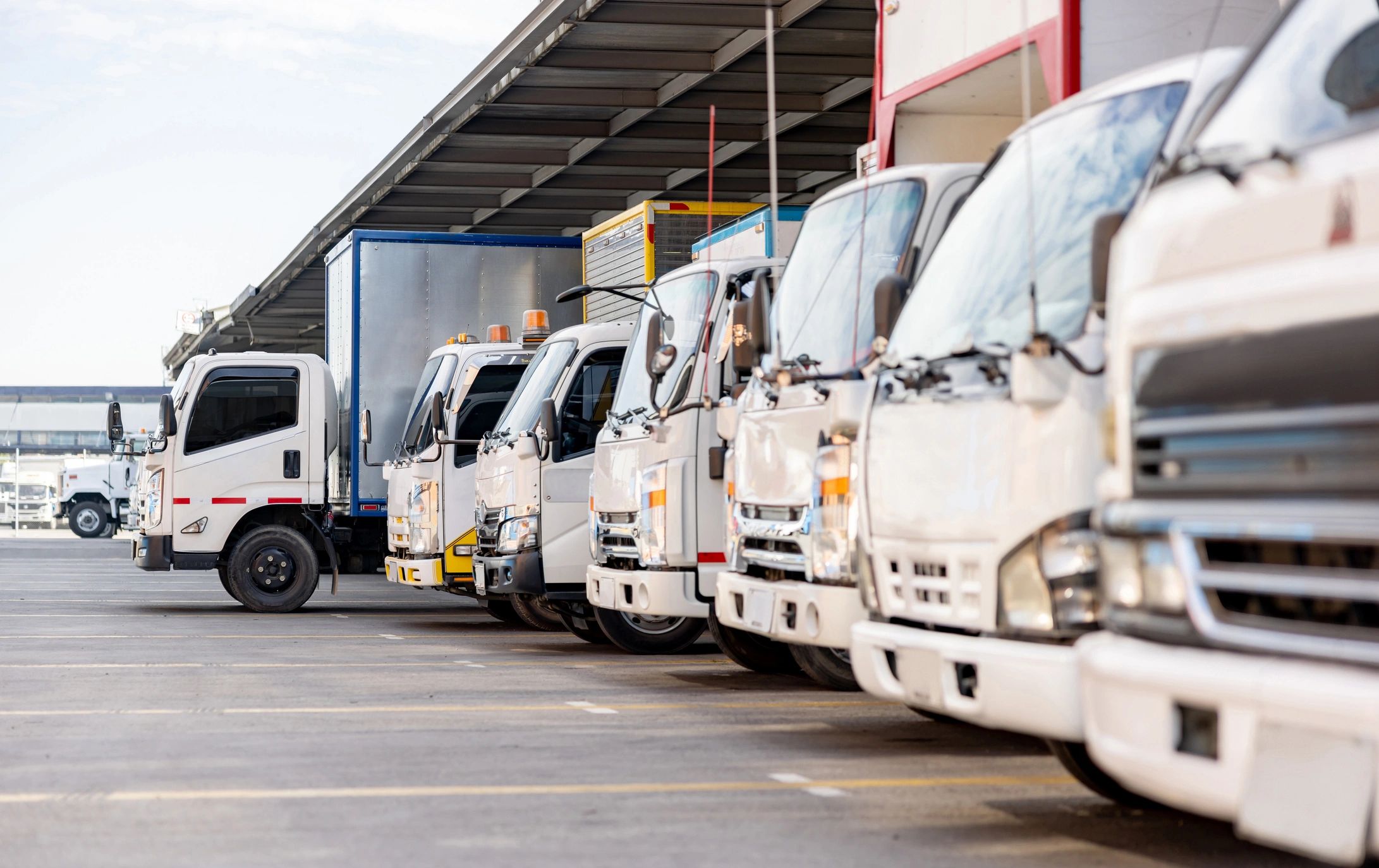 business transportation fleet vehicle